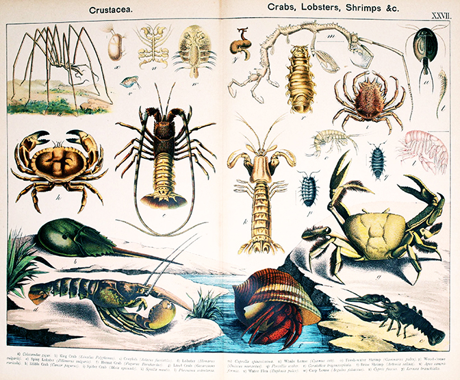 Read the full blog post