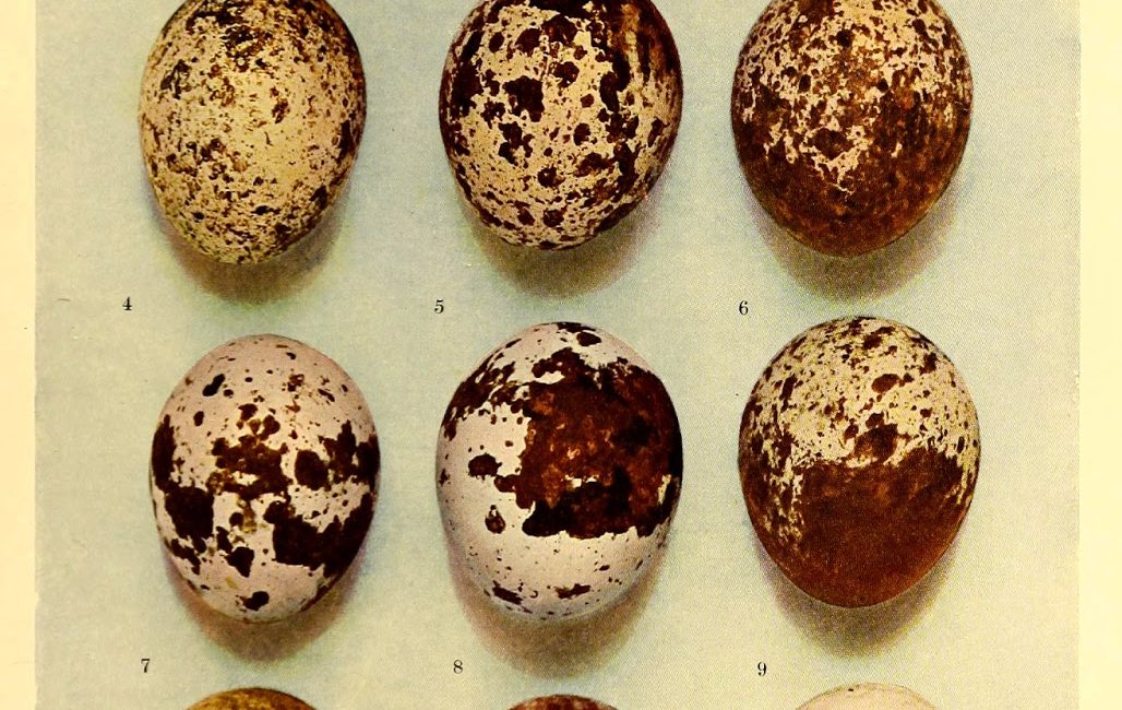 Read the full blog post