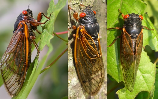 Read the full blog post