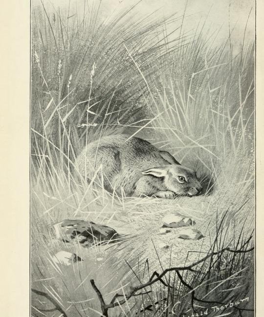 Read the full blog post