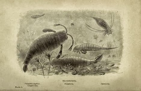 Read the full blog post