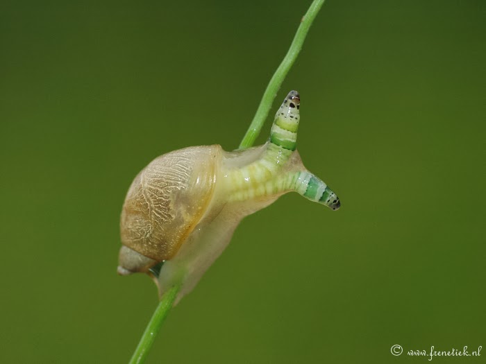 Read the full blog post