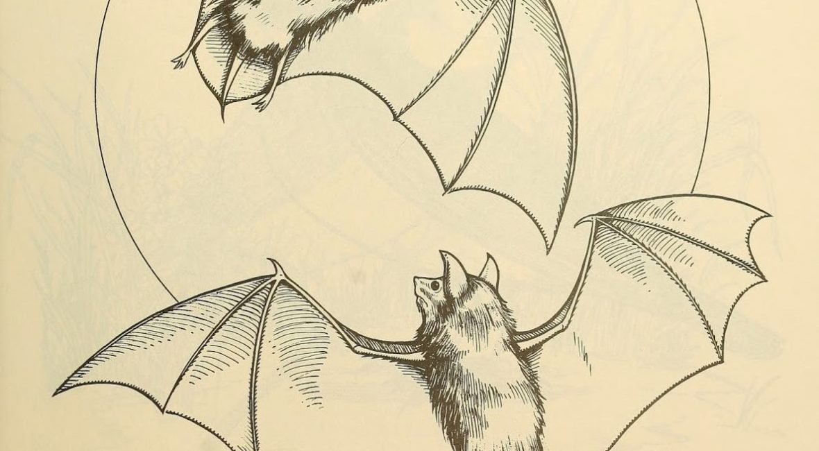 Read the full blog post