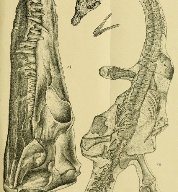 Read the full blog post