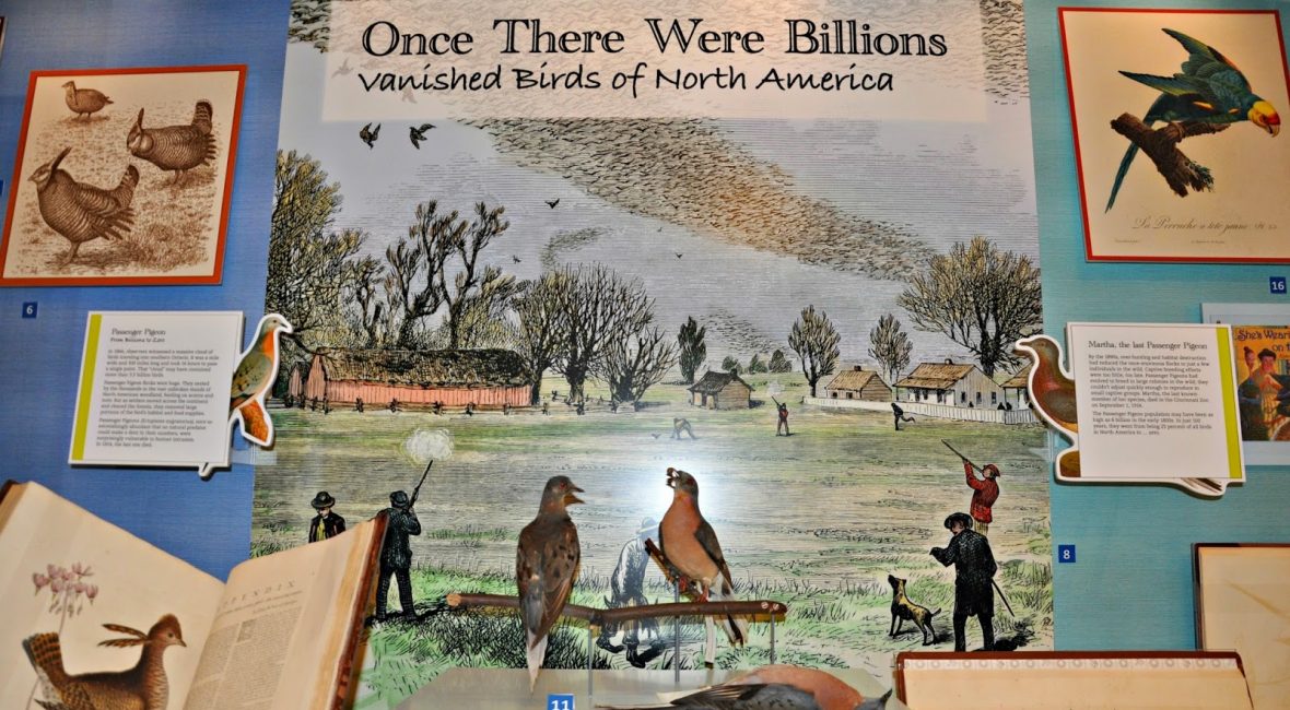 Read the full blog post