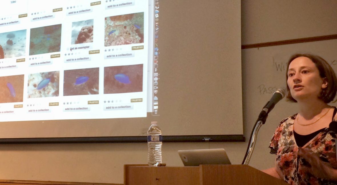 Read the full blog post