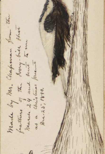 Read the full blog post