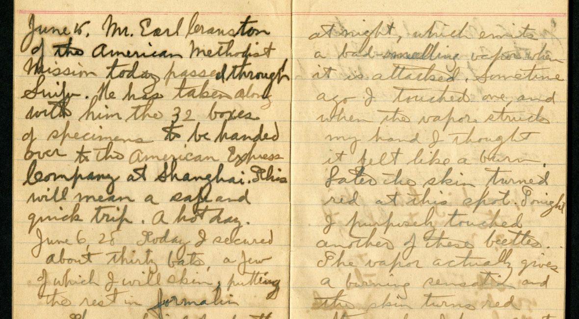 Read the full blog post