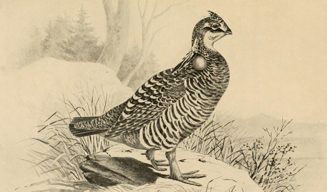 Read the full blog post