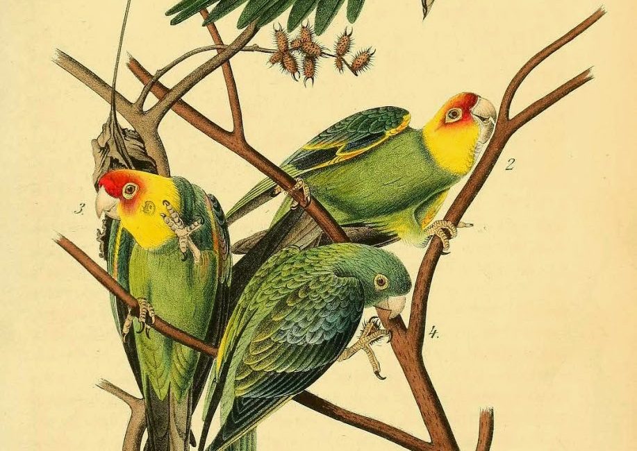 Read the full blog post