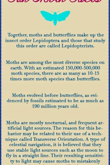 Read the full blog post