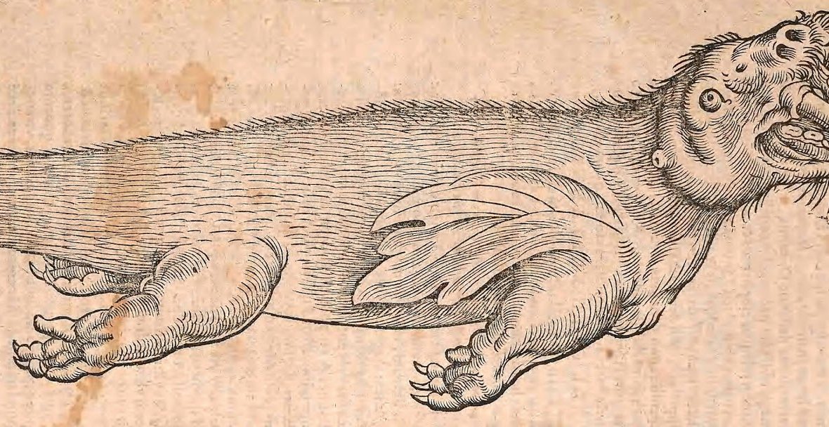 Read the full blog post