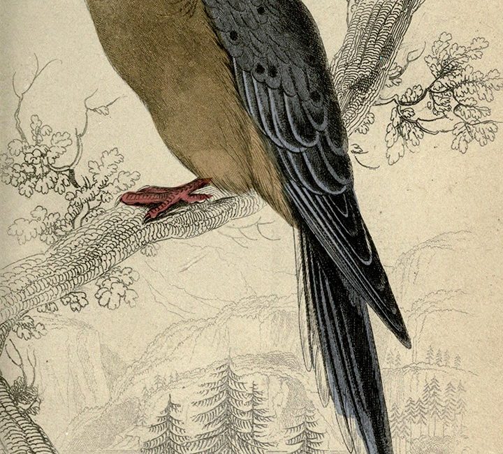 Read the full blog post