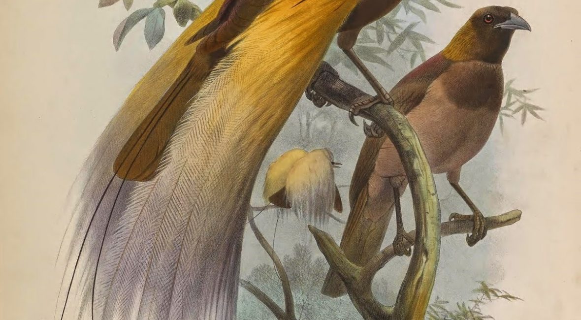 Read the full blog post