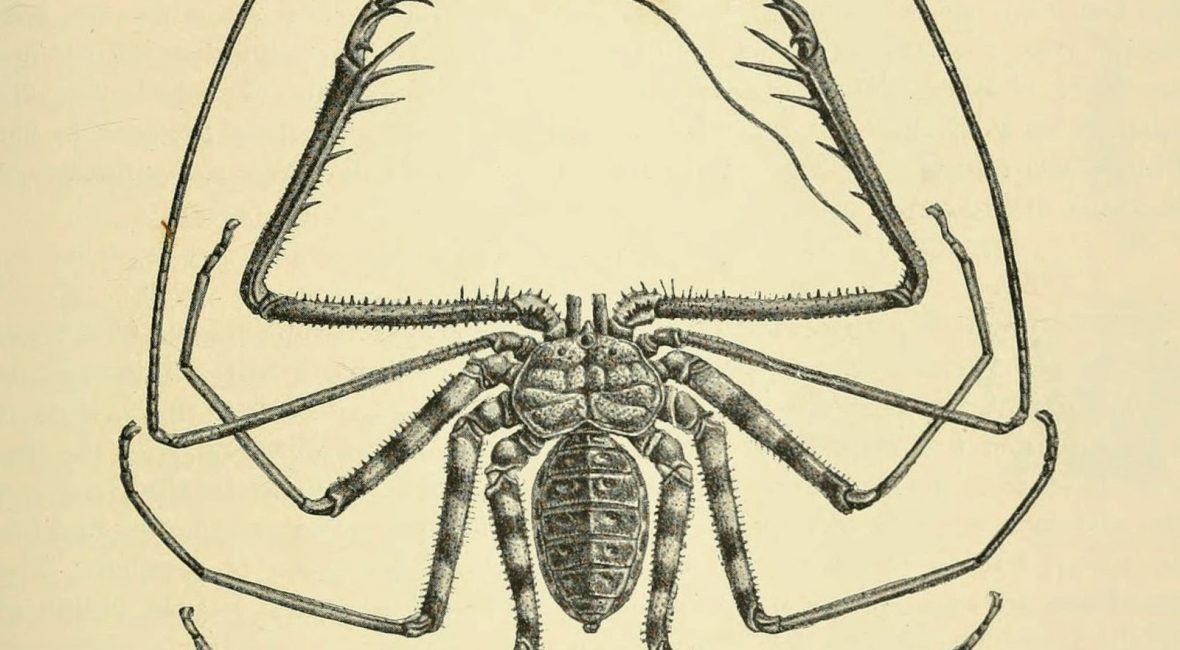 Read the full blog post