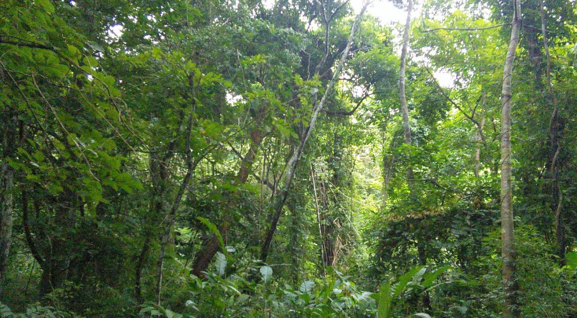 Read the full blog post