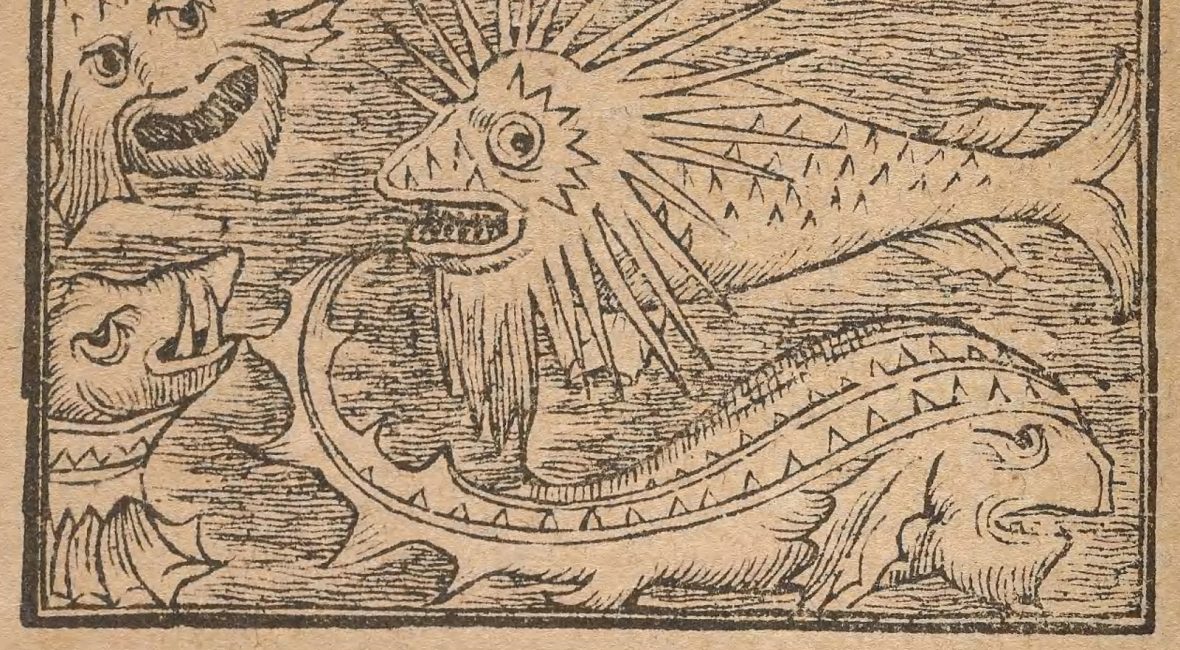 Read the full blog post