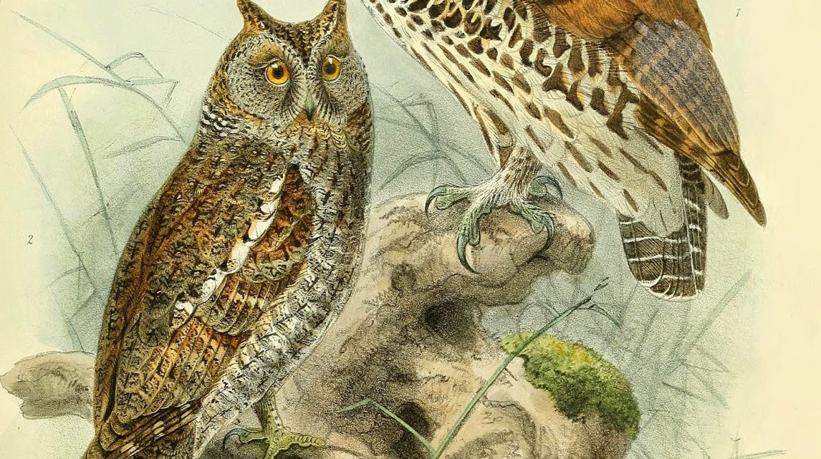 Read the full blog post