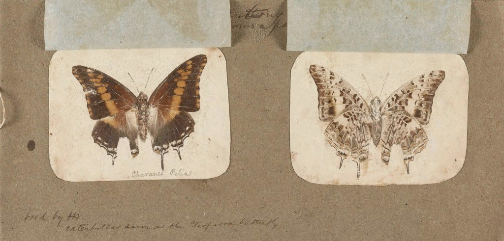 Read the full blog post