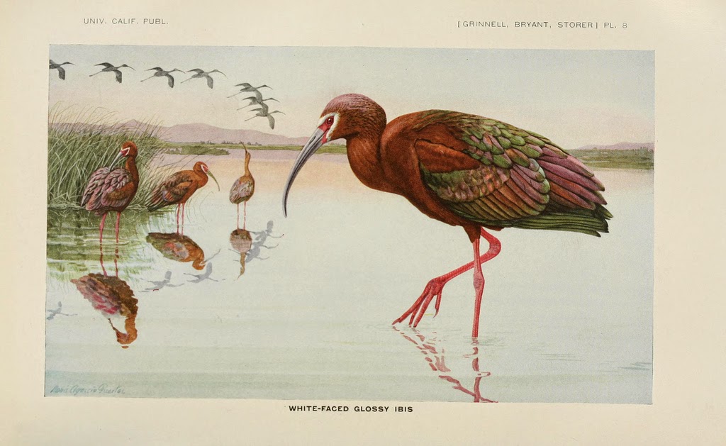 Read the full blog post