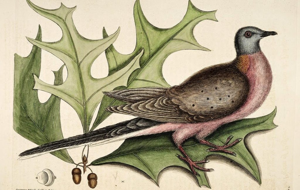 Read the full blog post