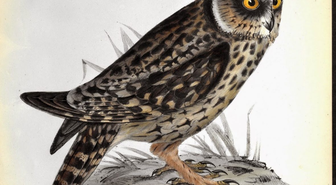 Read the full blog post