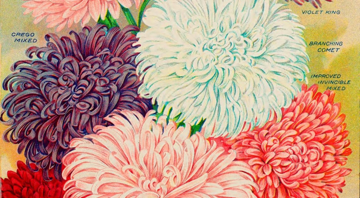 Read the full blog post