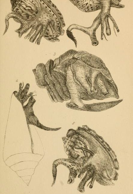 Read the full blog post