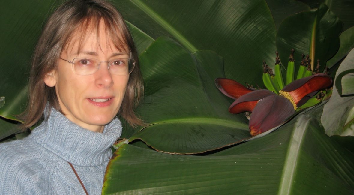 Read the full blog post