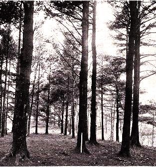 Read the full blog post