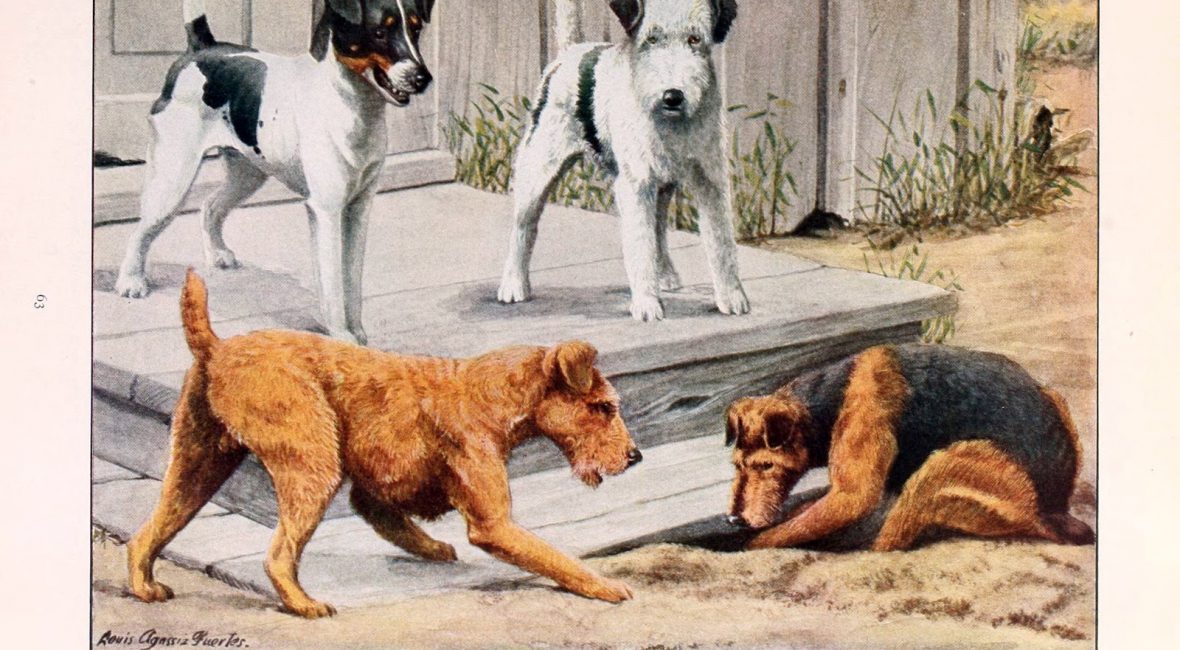 Read the full blog post