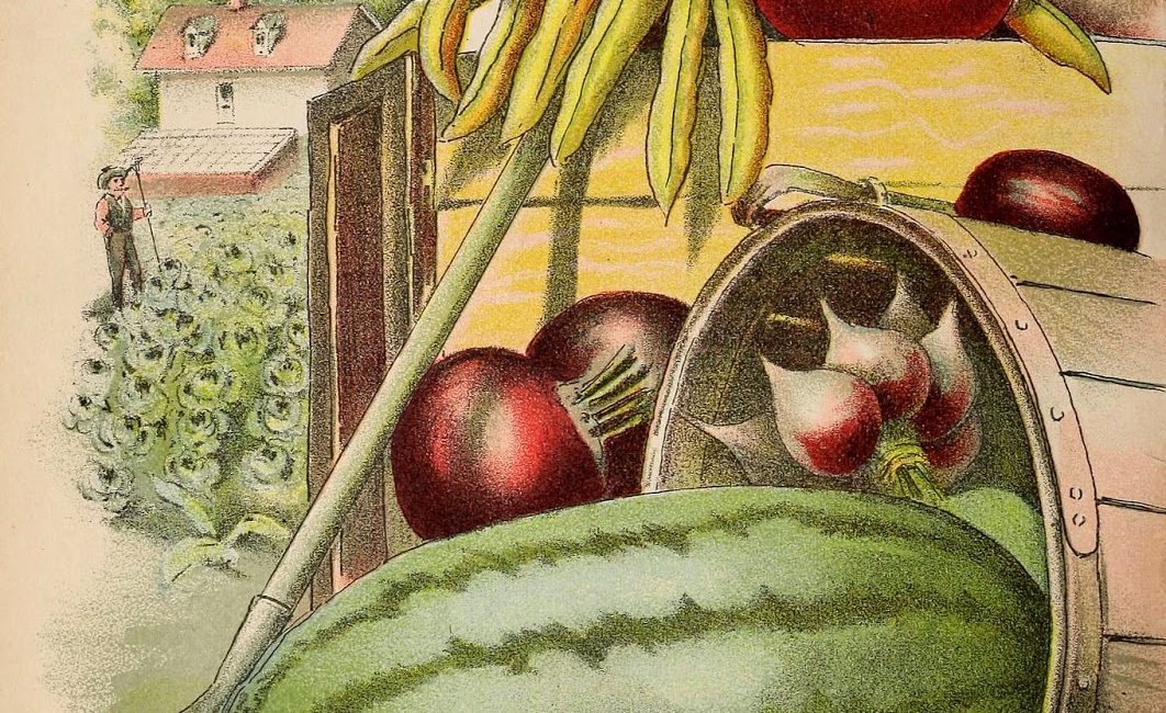 Read the full blog post