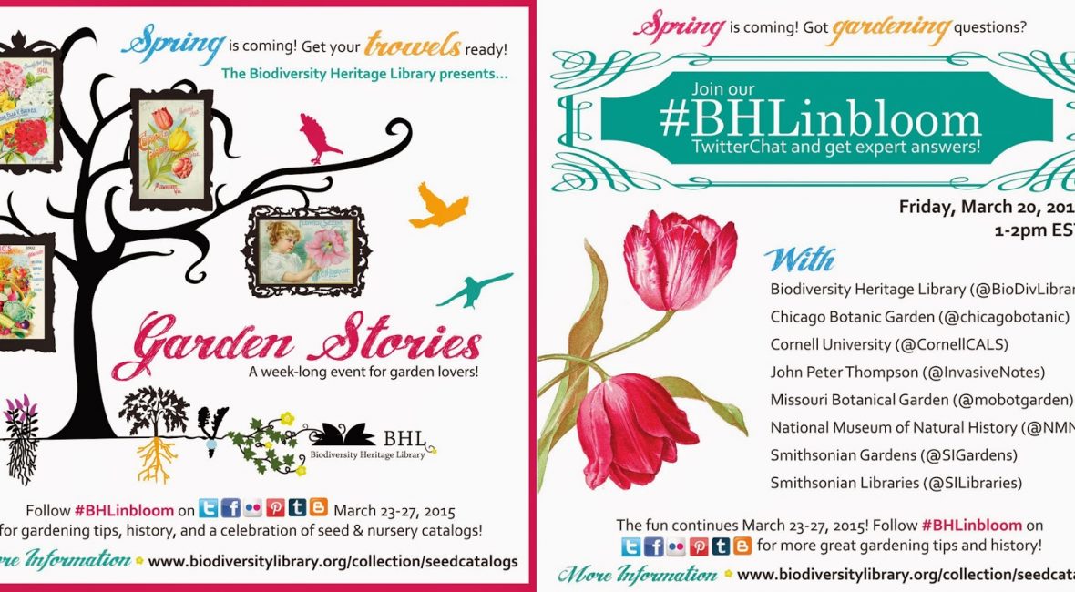 Read the full blog post