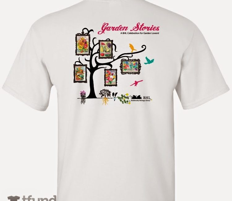 Read the full blog post