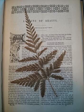 Read the full blog post