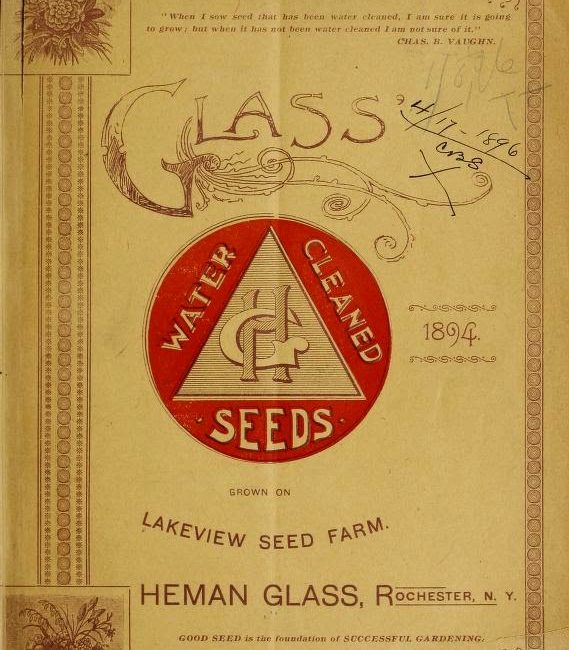 Read the full blog post