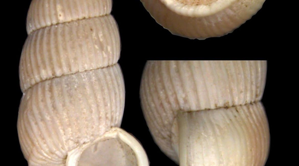 Read the full blog post