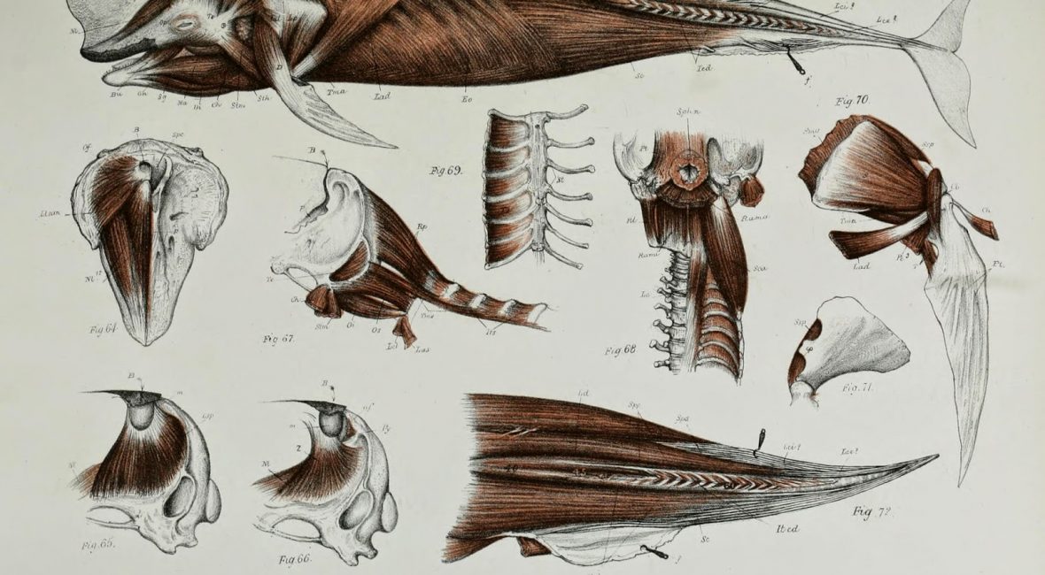 Read the full blog post