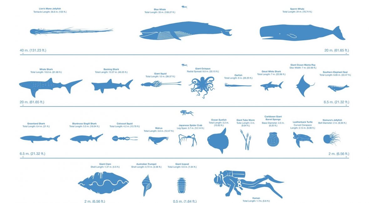 Read the full blog post