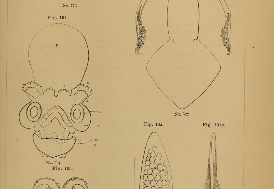 Read the full blog post