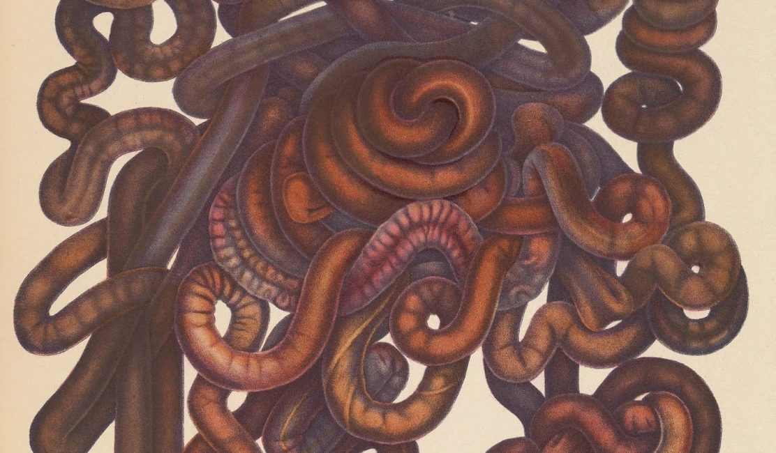 Read the full blog post