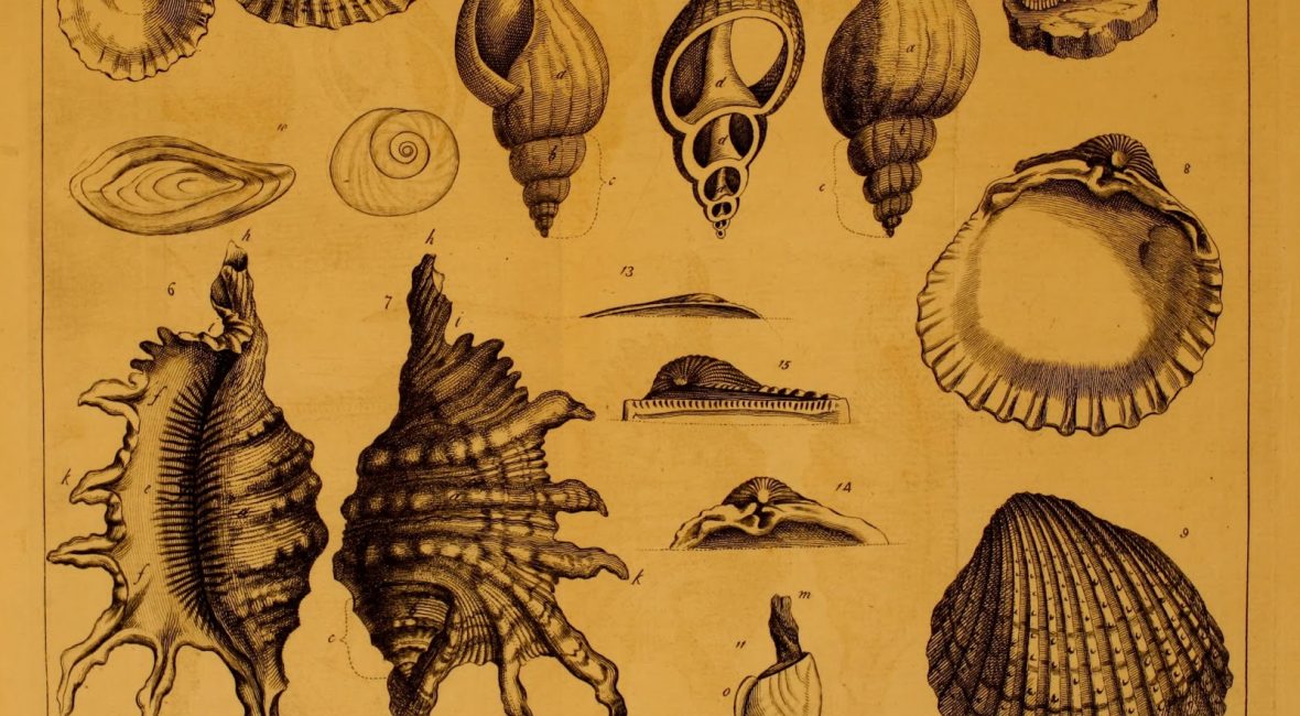 Read the full blog post