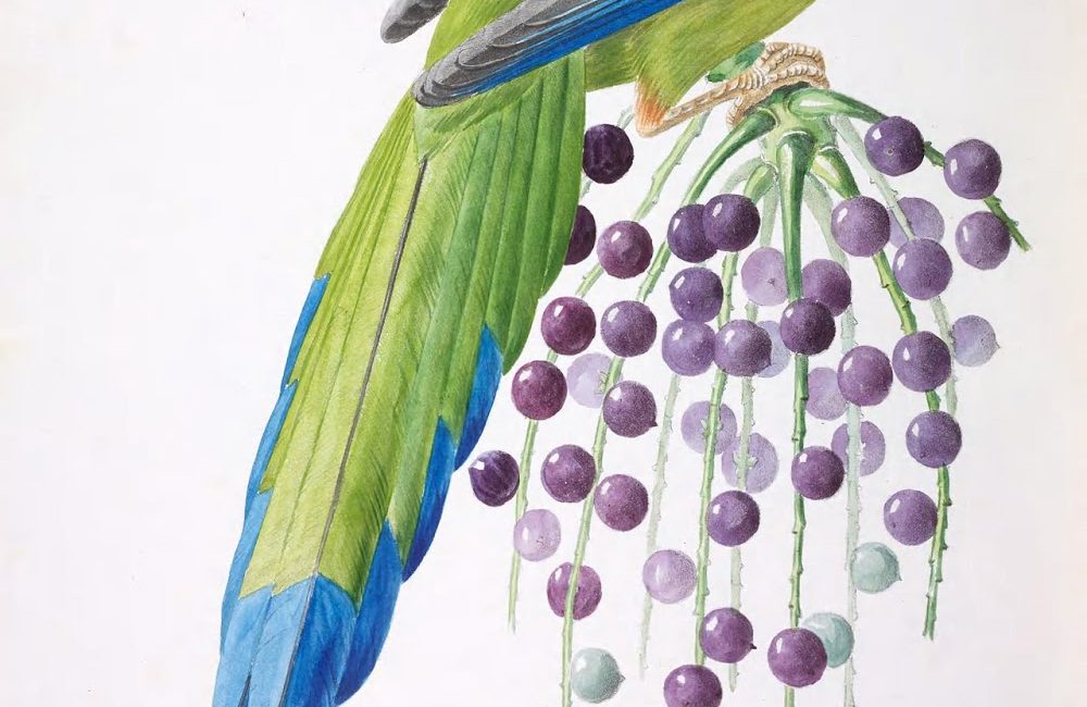 Read the full blog post