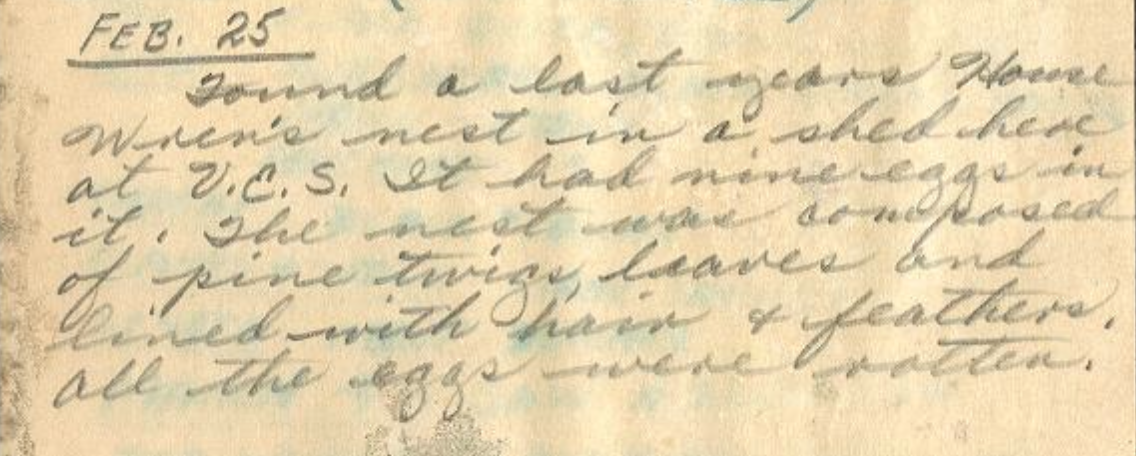 Read the full blog post