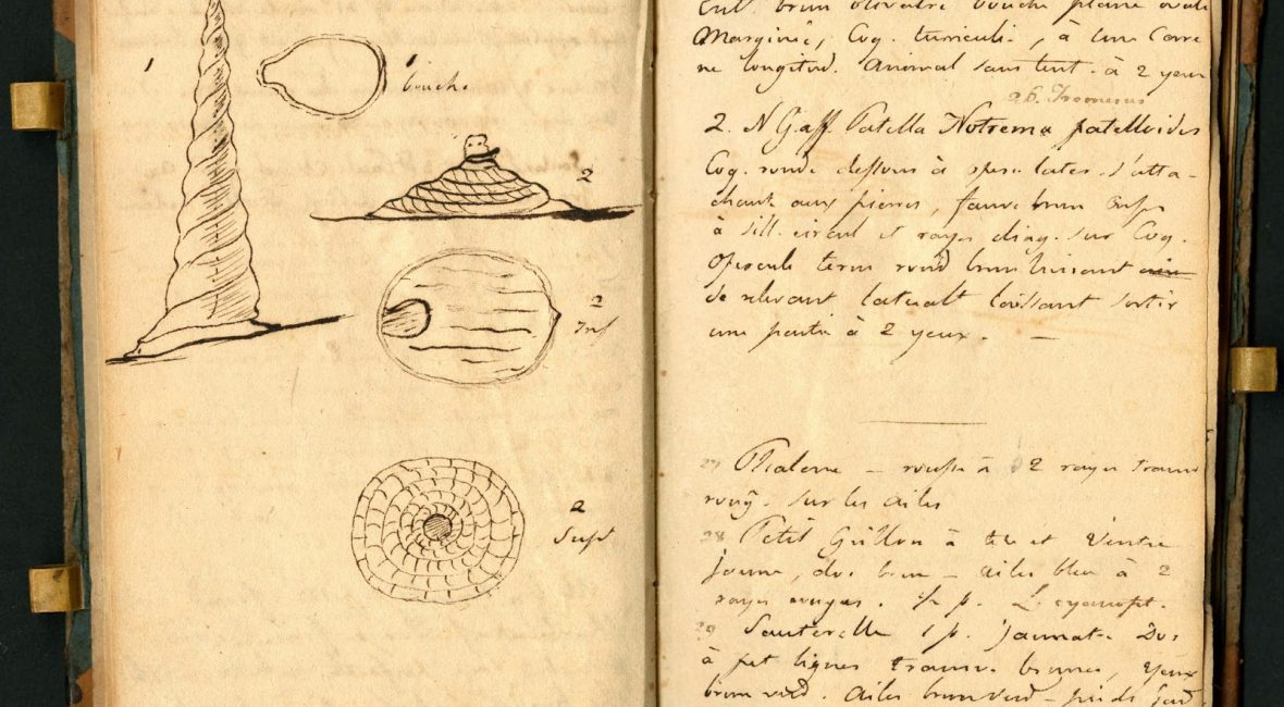 Read the full blog post