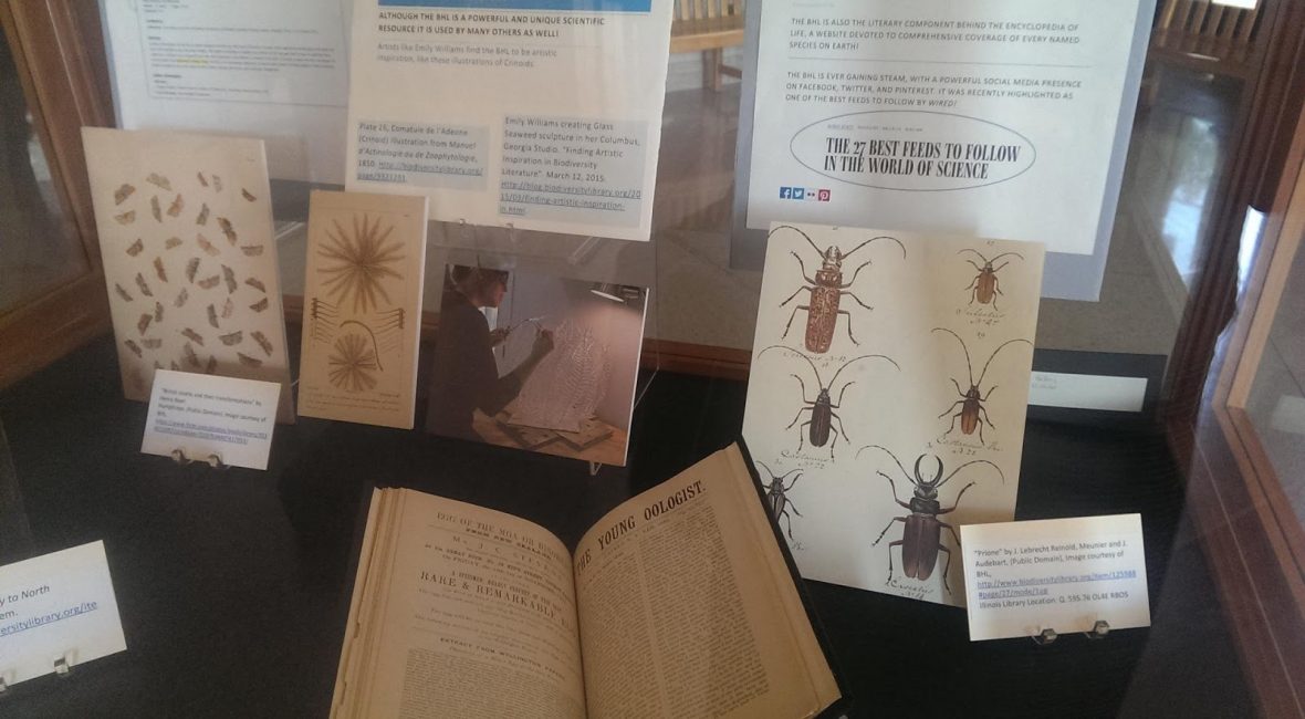 Read the full blog post