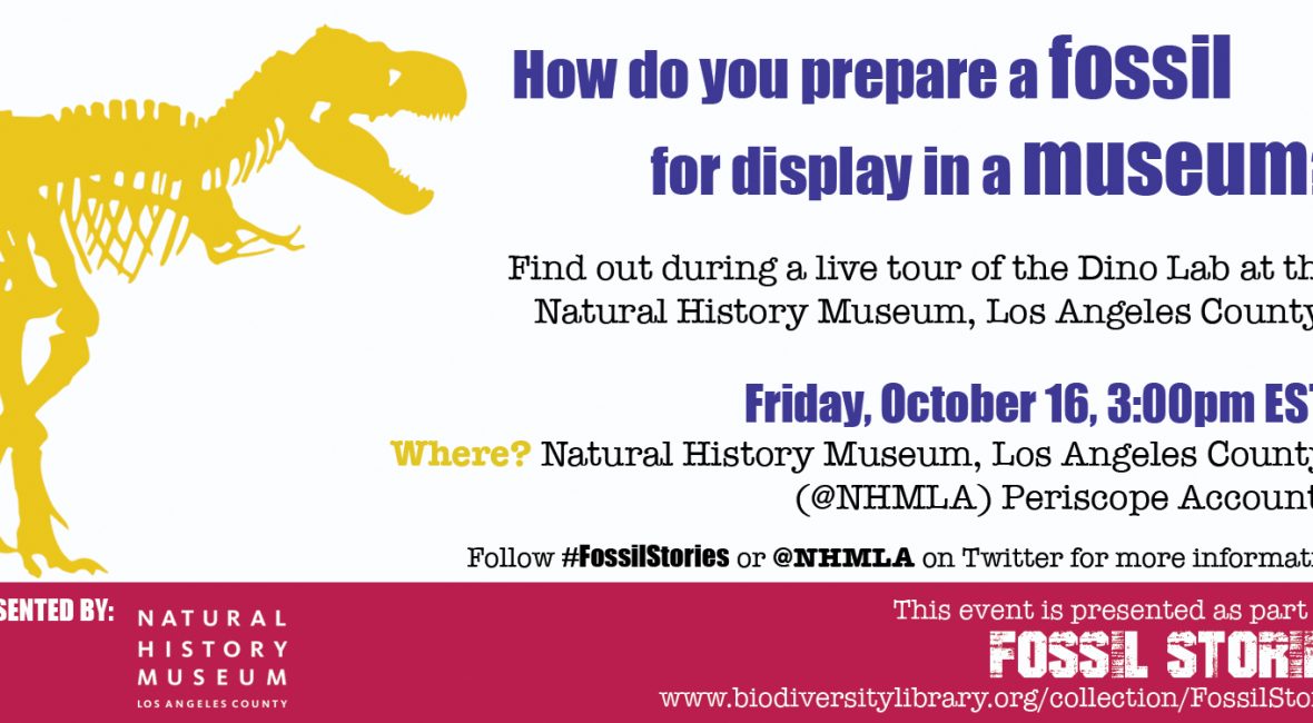 Read the full blog post