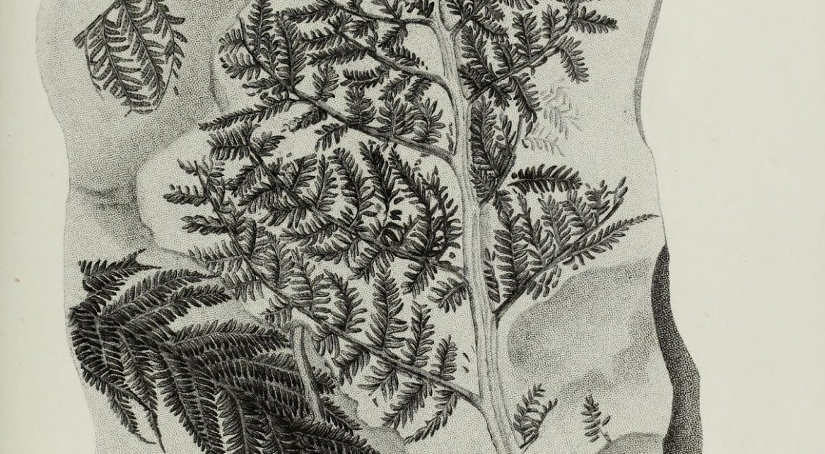 Read the full blog post