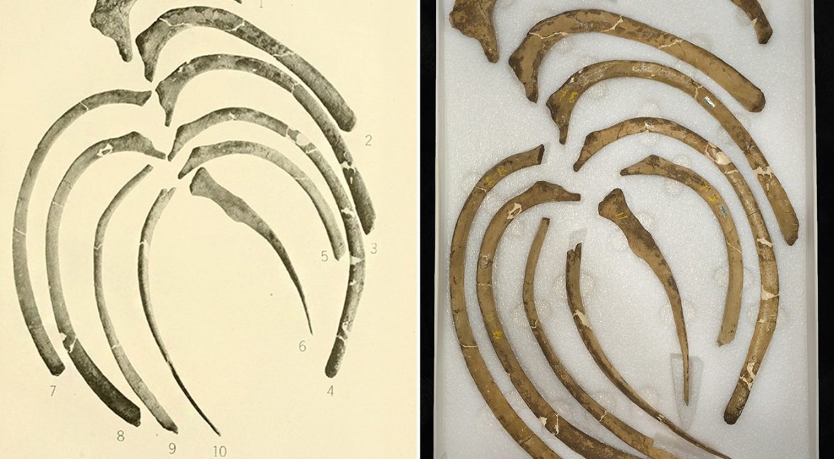 Read the full blog post