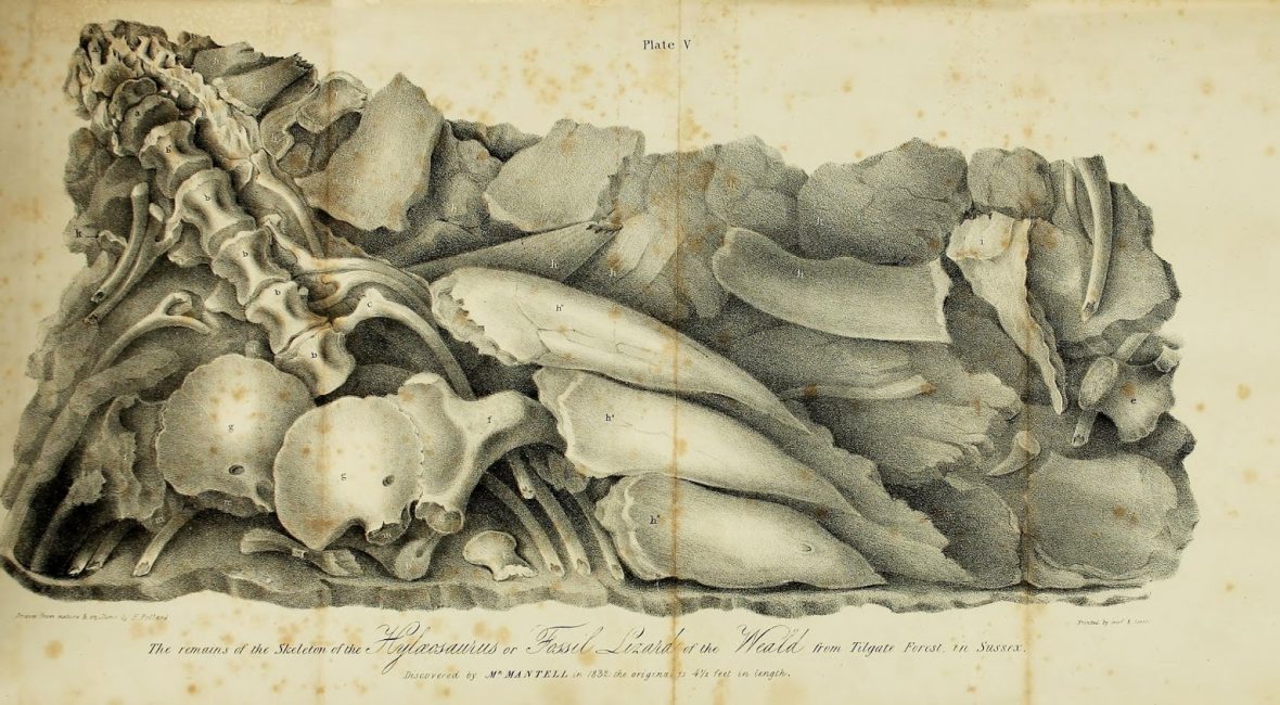 Read the full blog post